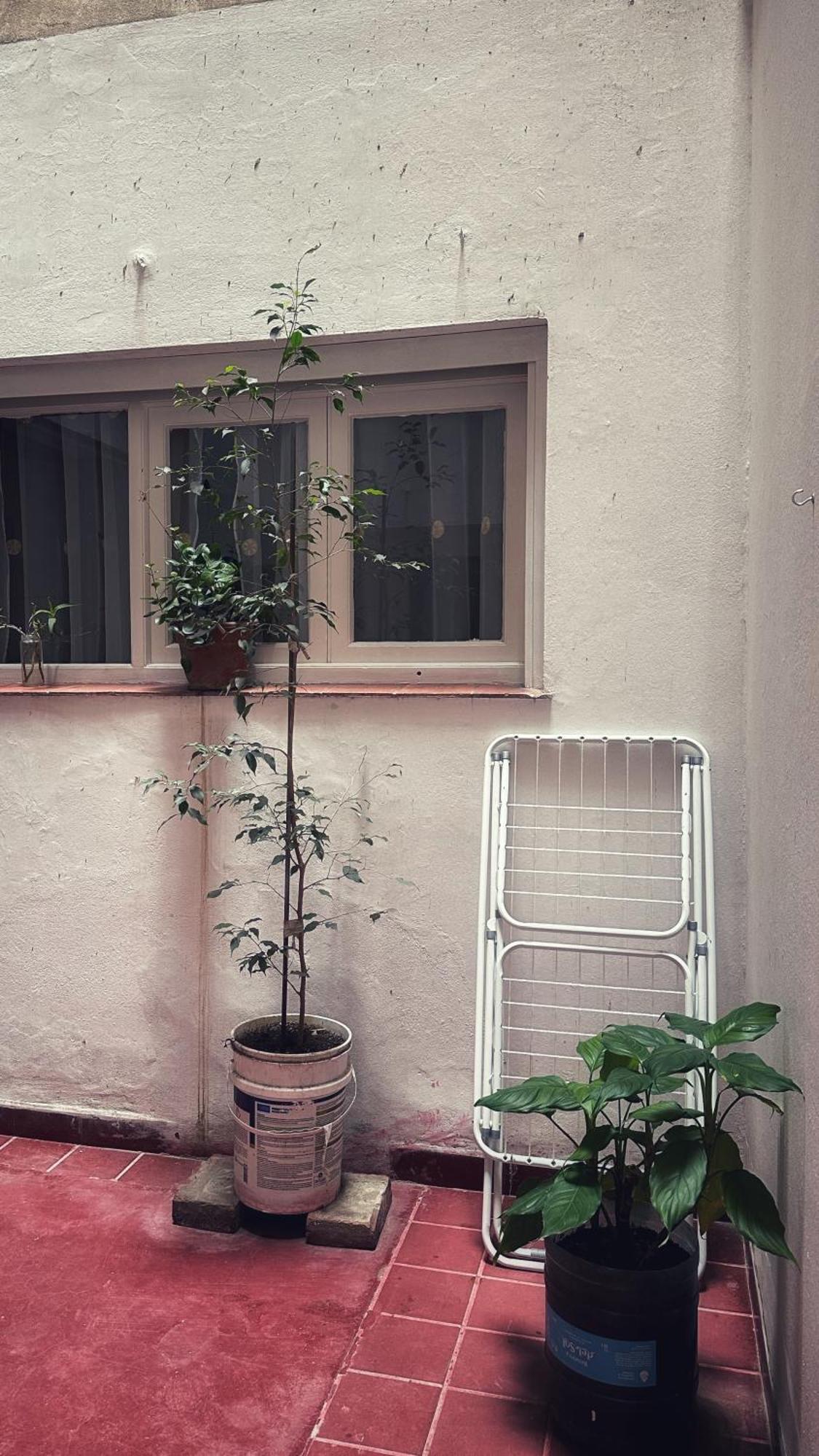 Ferienwohnung El Oasis Mendoza Exterior foto